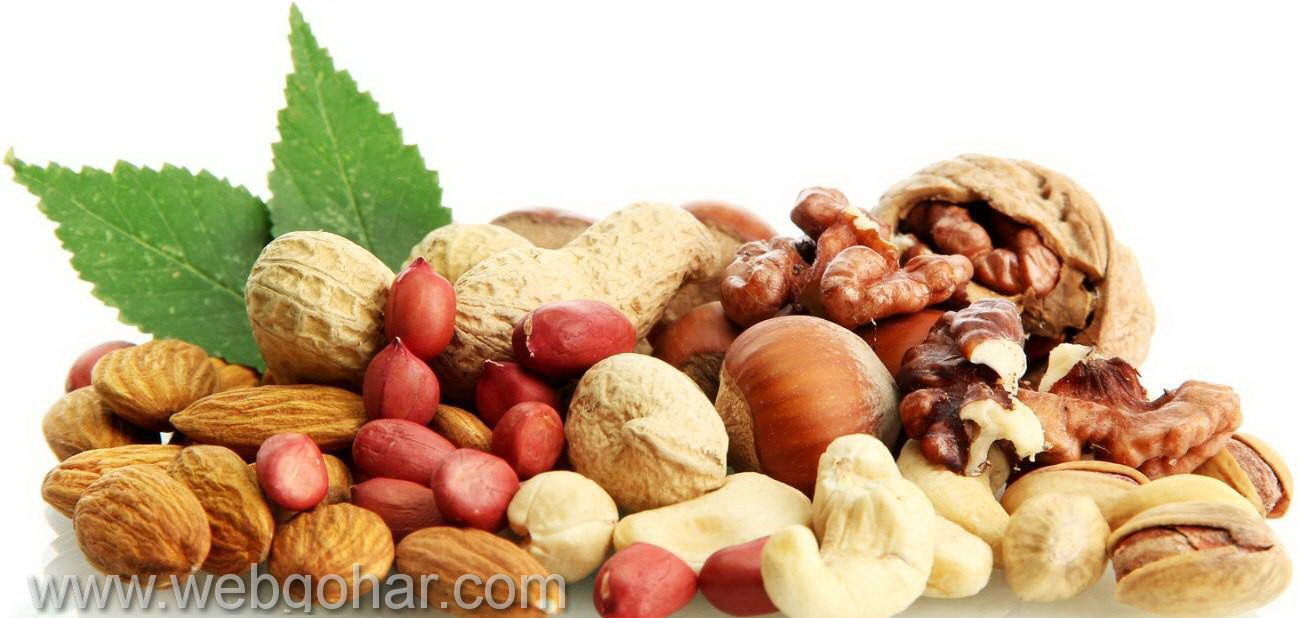 تاثیر طراحی سایت آجیل و خشکبار روی فروش - طراحی سایت آجیل و خشکبار