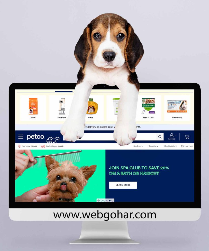 طراحی سایت پت شاپ