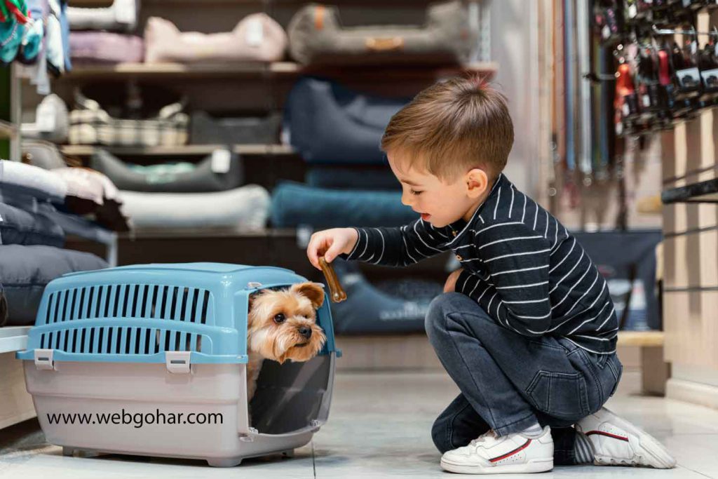 طراحی سایت پت شاپ