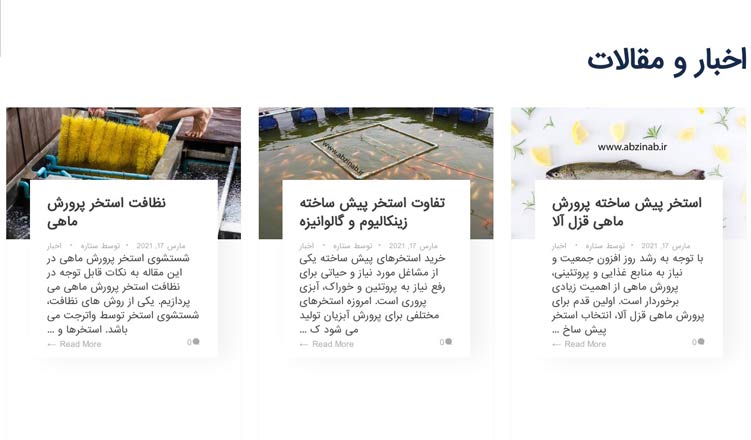 طراحی سایت شرکتی برای اخبار و مقالات