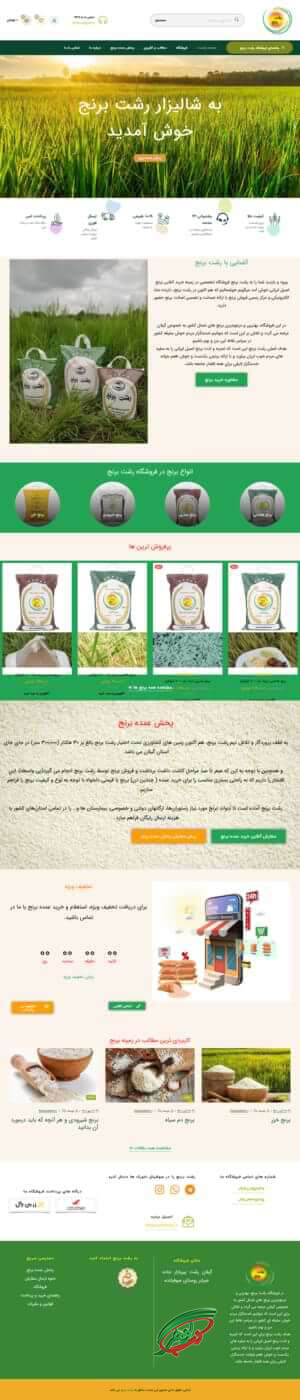 نمونه طراحی سایت رشت برنج