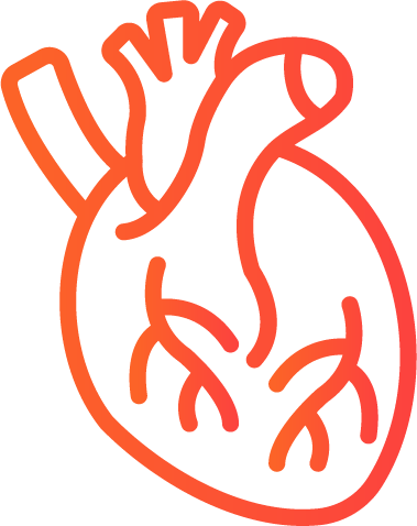 طراحی سایت کلینیک قلب و عروق